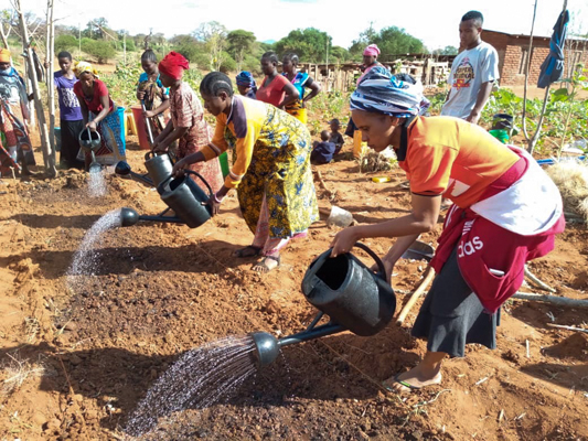 Frauen des DWABI Projekts bewässern ein Beet